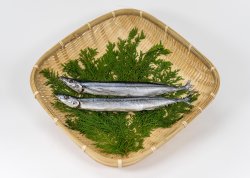 画像1: さんま酒干し (1本)