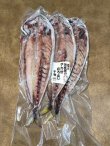 画像2: アカゼむろあじ