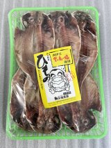 画像: 特上大トロあじの干物　6枚入り