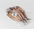 画像1: アカゼむろあじ