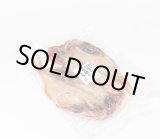 画像: 金目鯛の干物(2枚入り)